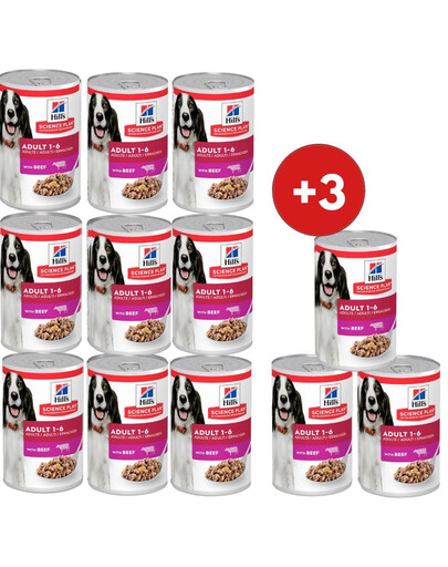 HILL'S Science Plan Canine Adult Beef 9x370 g dla dorosłych psów z wołowiną + 3 puszki GRATIS!