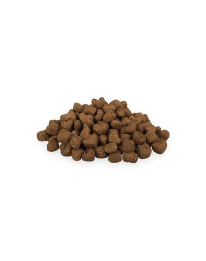 FITMIN NP Play and Train Lamb and Beef 400g treningowy przysmak z jagnięciną i wołowiną