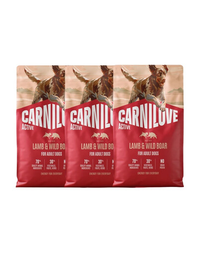 CARNILOVE Active Dog Lamb and Wild Boar Adult 3x4 kg jagnięcina i dzik, dla dorosłych psów