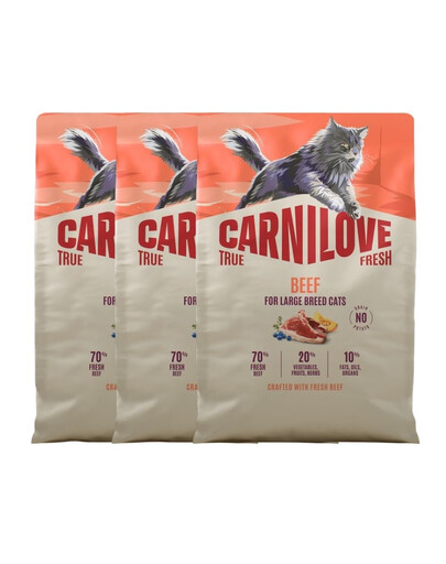 CARNILOVE True Fresh Cat Beef Adult Large 2 kg wołowina, dla kotów dużych ras