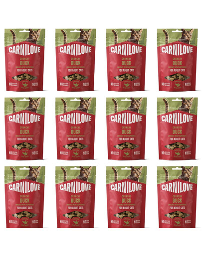 CARNILOVE Crunchy Snack Cat Salmon 12x50 g z łososiem i kocimiętką, chrupiący przysmak dla kotów