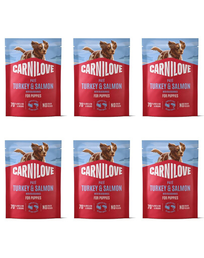 CARNILOVE Dog Pouch Turkey and Salmon Puppies 6x300g karma mokra indyk i łosoś dla szczeniąt
