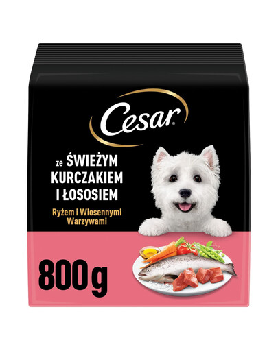 CESAR Adult z kurczakiem i łososiem 800g sucha karma dla psa