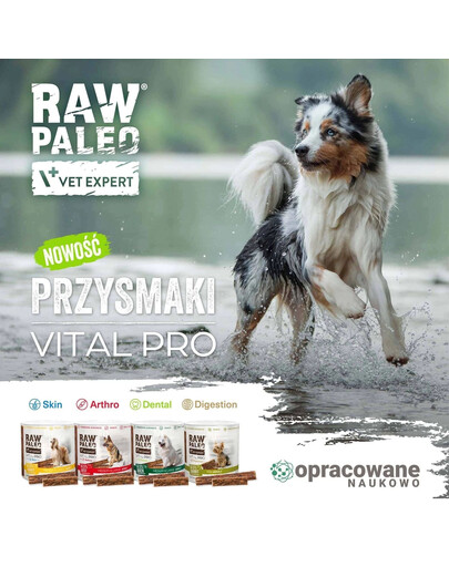 RAW PALEO Vital Pro Arthro Beef Mini 100g monoproteinowy funkcjonalny przysmak na stawy dla psów