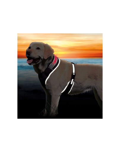 Trixie petnešos Flash l - xl 65-100 cm juodos
