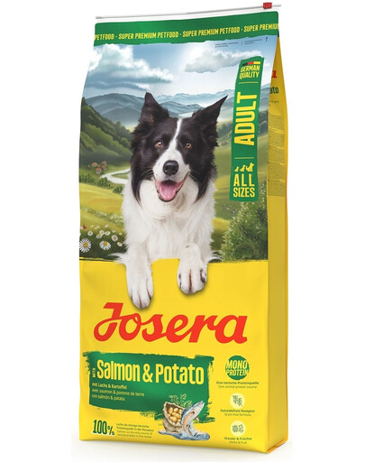 Salmon and Potato Adult 12,5kg bezzbożowa karma dla psów z wrażliwym żołądkiem
