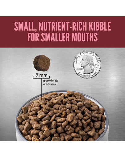 Small Breed Dog 4,5 kg