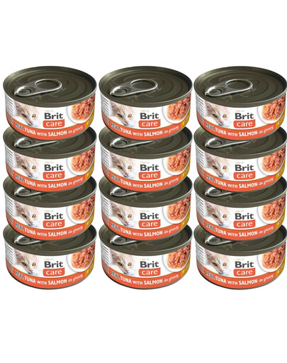 BRIT Care Cat Real Tuna with Salmon in Gravy 12x80 g filety z tuńczyka i łososia w bulionie, mokra karma dla kotów
