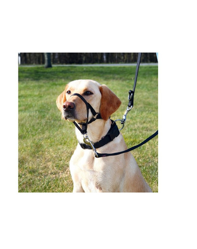 Trixie Top Trainer petnešos  xl  40 cm/ 46 -58 cm