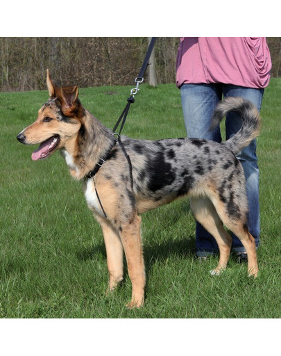 Trixie petnešos šunims Easy Walk L 40-60 cm