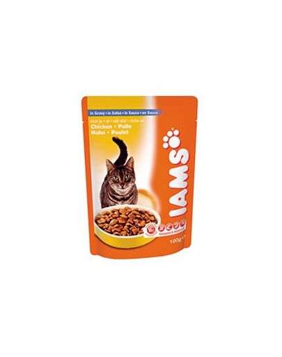 IAMS Adult kapsa 100g kuřecí 
