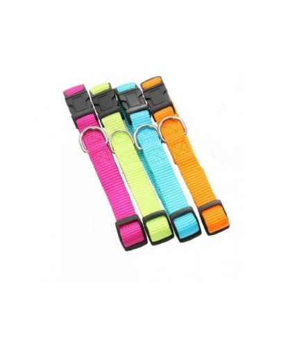 Zolux antkaklis nailoninis reguliuojamas 20 mm oranžinis