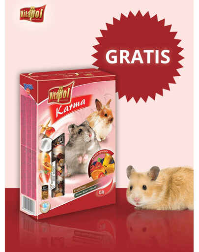 Stwórz zestaw dla Twojego chomika!