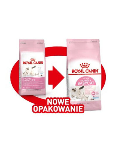 ROYAL CANIN Babycat 34 10 kg