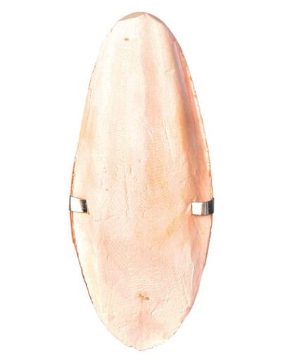 Trixie Suur riputatav seepiakivi 16 cm