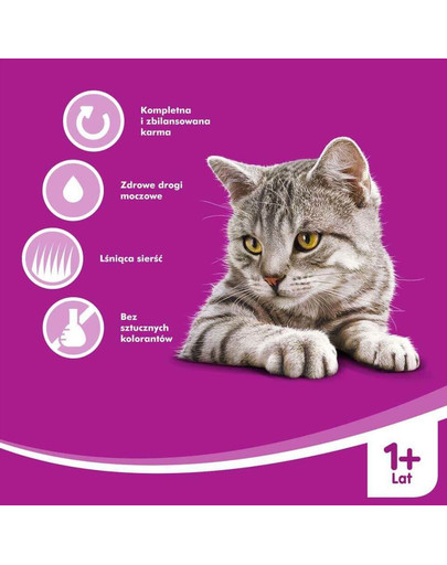 Whiskas koorene supp veiselihaga 85 g X 28