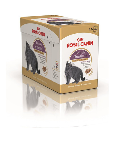 ROYAL CANIN Multipack British Shorthair 12 x 85 g