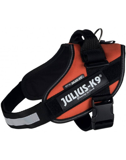 Trixie petnešos Julius-K9 Idc 3 / XL 82–115 cm / 50 mm