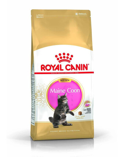 Royal Canin Kitten Maine Coon 10 kg