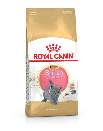 Royal Canin Kitten British Shorthair 0.4 kg