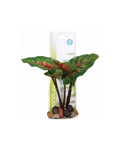 Zolux dekoratyvinis augalas 22 cm modelis 1
