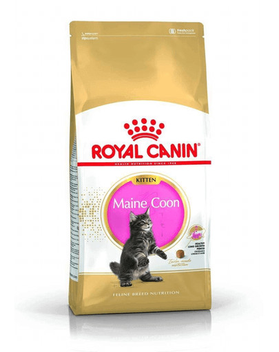 Royal Canin Kitten Maine Coon 10 kg kassipoegadele välja töötatud toit.