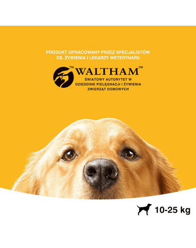 Pedigree Dentaflex vidutinių veislių šunims X 9