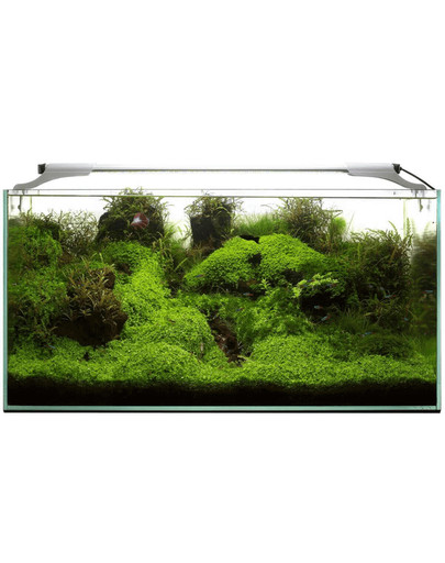 Aquael Leddy Slim 32W Plant 80-100 cm LED valgusti akvaariumile