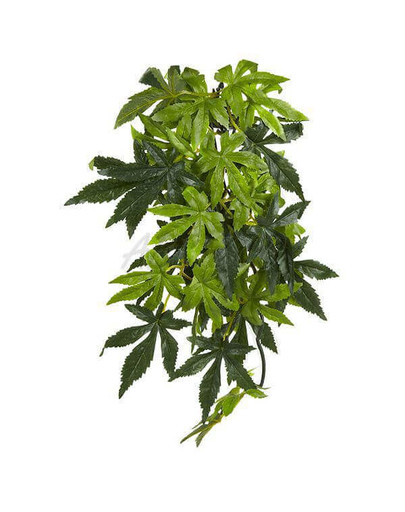 Exo Terra Silk Abutilon dirbtinis augalas M