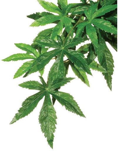 Exo Terra Silk Abutilon dirbtinis augalas L