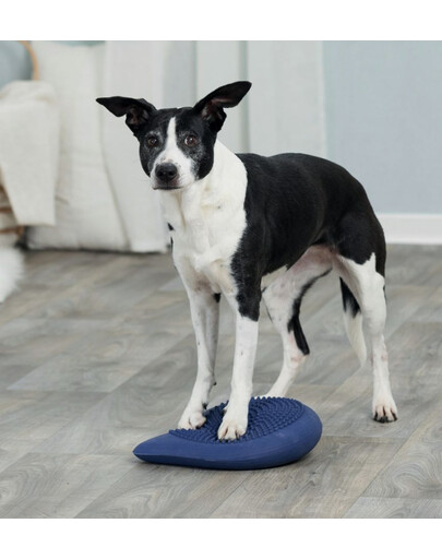 TRIXIE Dog Activity balansinė pagalvėle šunims 28 × 4 × 28 cm