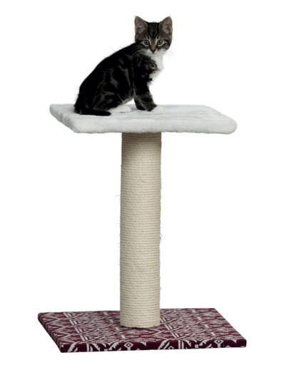 TRIXIE draskyklė Carlotta, 49 cm