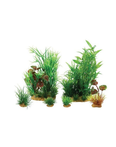 ZOLUX Plantkit dekoracijos augalų rinkinys modelis 2