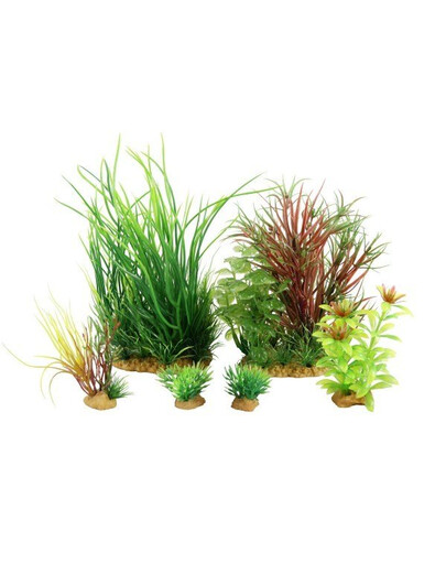 ZOLUX Plantkit dekoracijos augalų rinkinys modelis 4