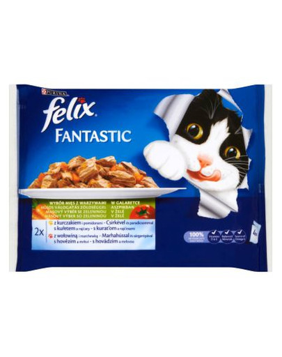 FELIX Fantastic with Salmon and Trout 40 x 100g