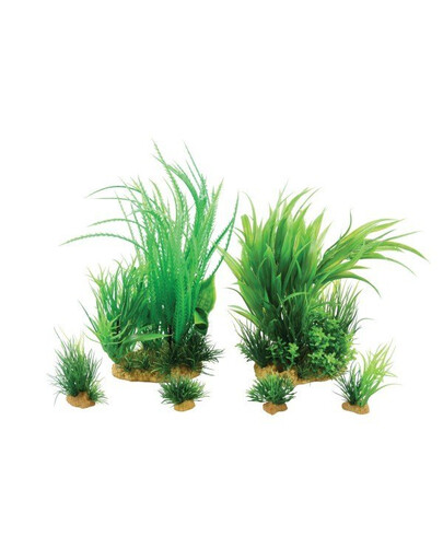ZOLUX Plantkit dekoracijos augalų rinkinys modelis 1