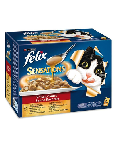 FELIX Sensations Sauce Surprise  12 X100 g