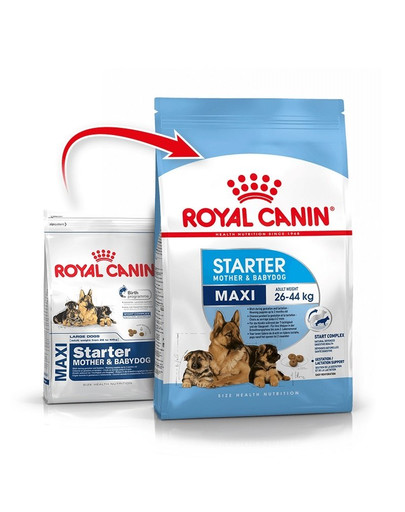 ROYAL CANIN Maxi Starter Mother&Babydog 15 kg kuivtoit tiinetele ja imetavatele emastele ja kutsikatele vanuses 4 kuni 8 nädalat, suurtele tõugudele