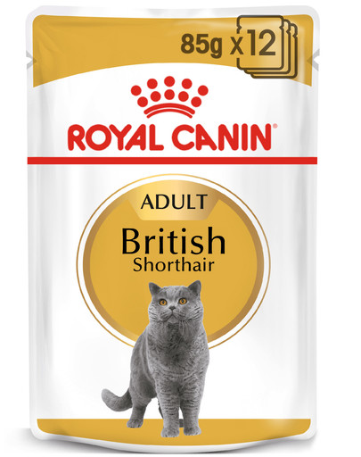 Royal Canin British Shorthair 85 g kotikesed 12 X 85 g