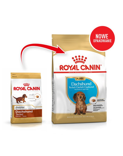 Royal Canin Dachshund Junior 1,5 kg Toit täiskasvanud taksidele vanuses üle 10 kuu.