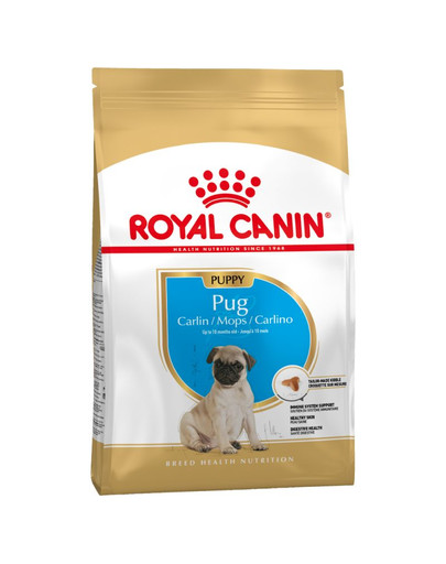 ROYAL CANIN Pug Puppy 1,5 kg kuivtoit kuni 12 kuu vanustele kutsikatele, mopsidele