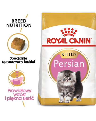 ROYAL CANIN Kitten persian 4 kg kuivtoit kuni 12 kuu vanustele kassidele, pärsia tõugu