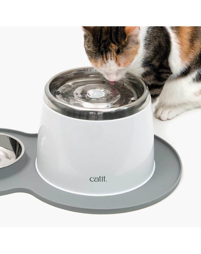CATIT Fresh & Clean Vandens fontanas su nerūdijančio plieno dubeniu, 2 l
