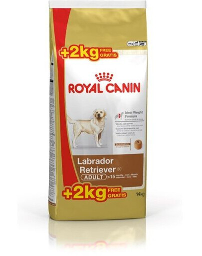 ROYAL CANIN Labrador retriever adult 12 kg + 2 kg gratis!