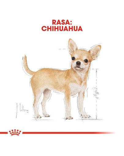 ROYAL CANIN Chihuahua Adult kuivtoit täiskasvanud chihuahua tõugu koertele - 3 kg