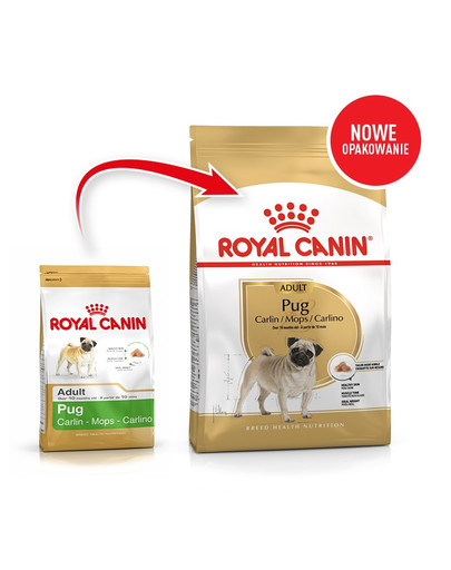ROYAL CANIN Poodle Puppy 3 kg kuivtoit kuni 10 kuu vanustele kutsikatele, minipuudlitele