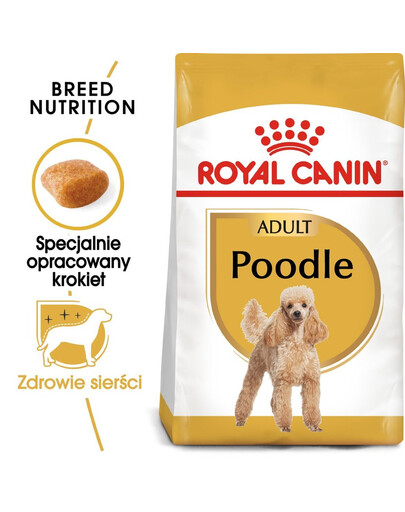 ROYAL CANIN Poodle adult 0,5 kg kuivtoit täiskasvanud koertele, minipuudlitele