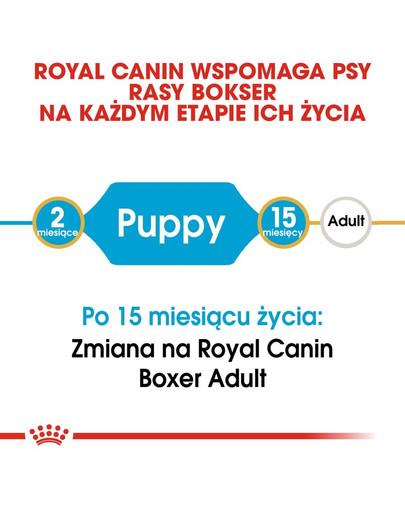 ROYAL CANIN Boxer junior 3 kg kuivtoit kuni 15 kuu vanustele bokseri kutsikatele