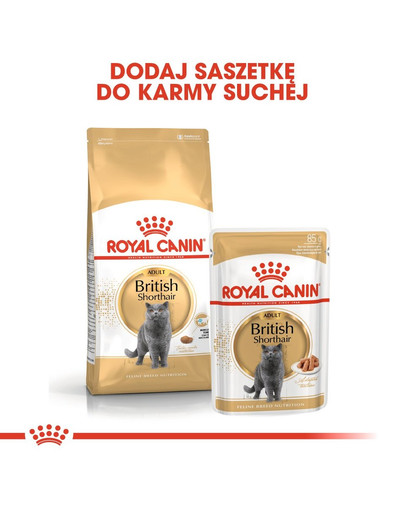 Royal Canin Briti lühikarvaline täiskasvanudele 4 kg