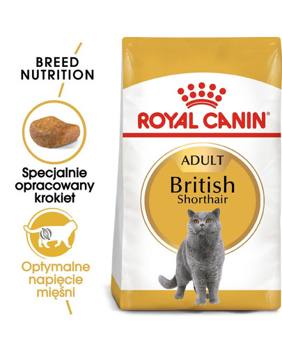 Royal Canin Briti lühikarvaline täiskasvanudele 4 kg